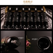 阿根廷进口 红酒 14度 异形瓶 智域干红葡萄酒 红酒葡萄酒 红酒整箱 门多萨产区 750ml*6 6支整箱