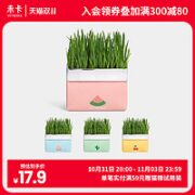 Vetreska 未卡 彩虹mini无土猫草 4包
