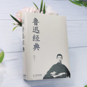 【689页】鲁迅全集正版鲁迅文集作品集杂文散文小说集诗歌朝花夕拾呐喊阿Q正传狂人日记彷徨故乡鲁迅散文集现代文学鲁迅的书籍全集