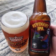 迷失海岸美国进口精酿啤酒IPA啤酒 亡魂IPA （临期清理）355ml*6