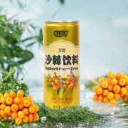 塞上绿洲 山西特产沙棘饮料240ml*8罐