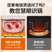 九阳（Joyoung） 电饭煲低糖电饭锅家用焖煮4L智能预约特快柴火饭多功能麦饭石色内胆2-6人 【4L旗舰款】F530
