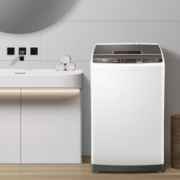 Haier 海尔 EB80BM029 变频波轮洗衣机 8kg 白色