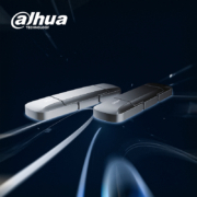 大华（dahua）256GB USB3.2接口 超极速SSD固态U盘 移动固态闪存优盘 电脑手机两用 读速高达520MB/S