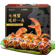 【活蟹】隆上记 大闸蟹鲜活 公3.4-3.7两 母2.4-2.7两 5对10只 现货实物螃蟹礼盒 生鲜 海鲜水产