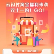 淘宝 云闪付 满20-3 单用户每日限享一次