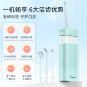 叹美 便携式冲牙器情侣家用正畸洗牙器水牙线电动清洁口腔小米粥清洁神器机 送礼物 送男女朋友 MS18优雅黑（水箱140Ml+3种模式+喷嘴5支