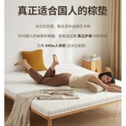 BINLAND 冰兰 BL888 天然椰棕床垫  500mm*1000mm_E款6cm厚