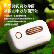 京东京造 冰箱除味杀菌器 除味剂保鲜净化除味 空气清新剂房间衣柜车内鞋柜除臭