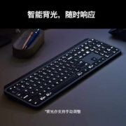 罗技（Logitech） 无线蓝牙键盘  全尺寸高端商务双模办公键盘 智能背光多设备超薄便携套装 MX Keys 多设备键盘