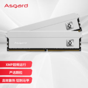 阿斯加特（Asgard）32GB(16Gx2)套装 DDR4 3600 台式机内存条 弗雷系列-钛银甲