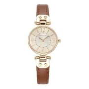 ANNE KLEIN 安妮·克莱因 简约经典系列 女士石英表 10-9442CHHY