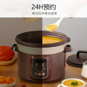九阳（Joyoung）电炖锅电炖盅5L大容量紫砂预约电砂锅智能定时精炖煮粥煲汤锅DG50Z-GD510