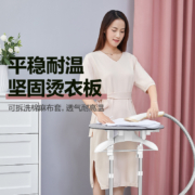 Airmate 艾美特 LIS1801 平/挂烫一体机
