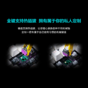 雷神（ThundeRobot）三模游戏机械键盘KL6104 风轴 热插拔版 有线无线蓝牙 RGB 长续航 带掌托 104键