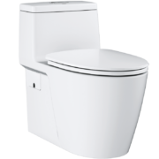 高仪/GROHE 进口一体式陶瓷马桶 原装直冲式座便器 缓降盖板 305坑距坐厕39315000