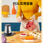 九阳（Joyoung）绞肉机家用电动多功能料理机搅拌婴儿辅食机切菜绞馅不锈钢碎肉S2-A808