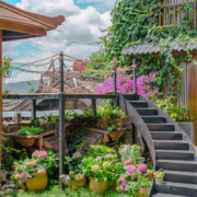 丽江2店通用 避世在地之旅 指云公馆 指定房型2晚连住（含特色早餐+下午茶套餐+纳西古乐演出等）
