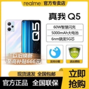【256GB大内存】realme真我Q5充5000mAh大电池5G学生手机