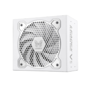 振华（SUPER FLOWER）额定1000W LEADEX VP1000W 电脑电源 白金牌/智能全模/13cm小机身/全日系电容/十年保固