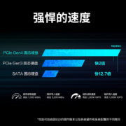 三星（SAMSUNG）1TB SSD固态硬盘 M.2接口(NVMe协议PCIe 4.0 x4) 980 PRO With Heatsink(散热片版)