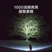 京东京造 强光手电筒 1000流明超亮远射 Type-C充电多功能家用便携小型户外骑行停电照明应急灯