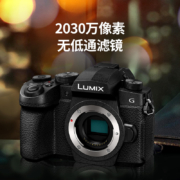 松下（Panasonic） G95D微单/无反/数码相机 Vlog视频拍摄 触屏翻转屏 五轴防抖 DC-G95D+【12-60mm白盒】组合套装