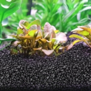 琅河水族  水草泥 1斤