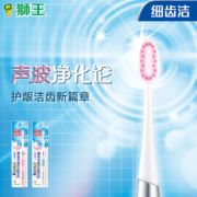 狮王（Lion）细齿洁声波电动软毛牙刷  按摩牙刷 双重细毛 去渍护龈 深入清洁 刷头小巧（刷头可替换）
