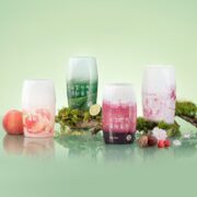 YANXUAN 网易严选 空气清新香氛 多肉葡萄+日照森林 400ml