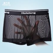 Holelong 活力龙 HCPW115 男士网纱内裤