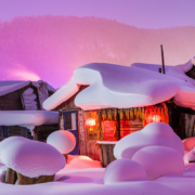 聚划算百亿补贴：哈尔滨 亚布力雪乡旅游 5天4晚纯玩跟团游 冰雪大世界 TJ
