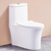 diiib 大白 DMMT002-300 防臭虹吸式连体马桶 305mm