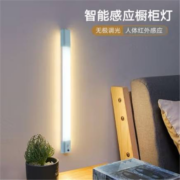 plus会员：启梵  升级上线  360mm白光人体感应充电款+无极调光