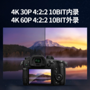 松下（Panasonic） GH5/GH5L微单/单电/无反数码相机 4K60P视频录制 五轴防抖 GH5单机身【不含镜头】
