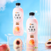 京东特价APP：惠寻 无糖苏打水气泡水 白桃味480ml/瓶*12瓶