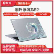 IPASON 攀升 暴风龙S2 14英寸 2.5K高色域全面屏游戏办公轻薄笔记本电脑