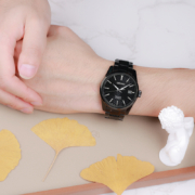 精工（SEIKO）手表 PRESAGE领航系列日韩表商务透底钢带机械男士腕表 SPB229J1 生日礼物