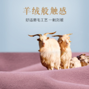 欧迪芬保暖内衣女秋冬阳离子磨毛黑科技亲肤柔暖弹力修身女士保暖套装 XW2110Q 黑色 L