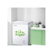 Ronshen 容声 BD/BC-100MB 冰柜 100L