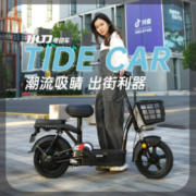 小刀新国标新款电动车3C成人电瓶车男女通用小型代步车外卖电动自行车绿色出行 小K 青草绿