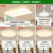 雷士照明 欣韵满天星 现代简约灯具组合 三室两厅+风扇灯