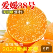 【22年新果】爱媛38号果冻橙 新鲜橙子水果大果粒橙 4斤大果【75-90mm】
