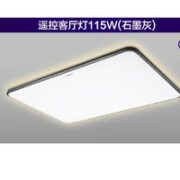 PHILIPS 飞利浦 遥控客厅吸顶灯 石墨灰 115W