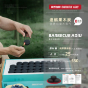 阿丢 一次性小型无烟木炭烧烤炉（含木炭、烧烤网+赠炭夹、灭炭毛巾、手套）