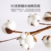 水星家纺枕头枕芯蚕丝枕酒店丝绵枕家用成人全棉单人呵护颈椎软枕