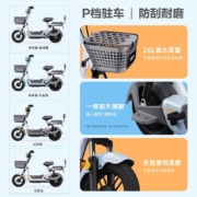 哈啰电动车A30新款电瓶车新国标电动自行车电池小型亲子车智能代步棒途电瓶车 【A30】20AH铅酸-幻彩灰-喷涂白