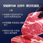 淳鲜四季X京东PLUS会员联名款 安格斯M3原切牛排套餐1kg 冷冻牛肉生鲜 澳洲谷饲牛扒 买手精选