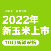 十月稻田（SHIYUEDAOTIAN） 【2022年新玉米】十月稻田 五常玉米 甜糯玉米 轻食 五常鲜食玉米220g*8根
