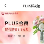 京东商城 PLUS鲜花馆 领鲜花园艺29-20/49-30元券（多券可领）